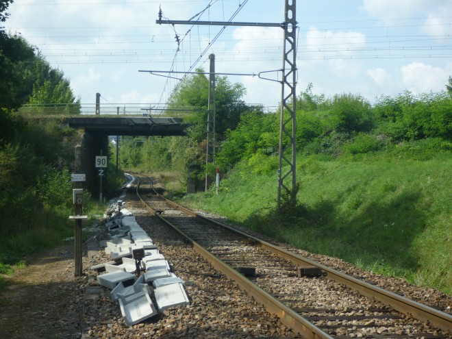 P1080736.JPG