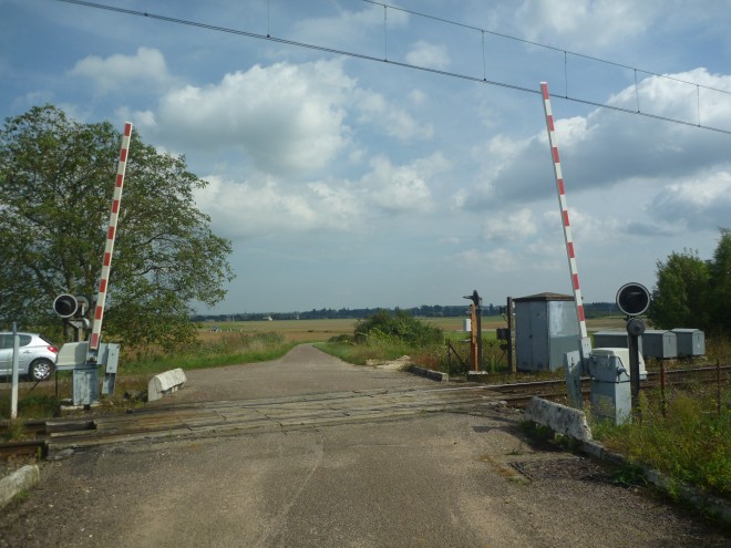 P1080748.JPG