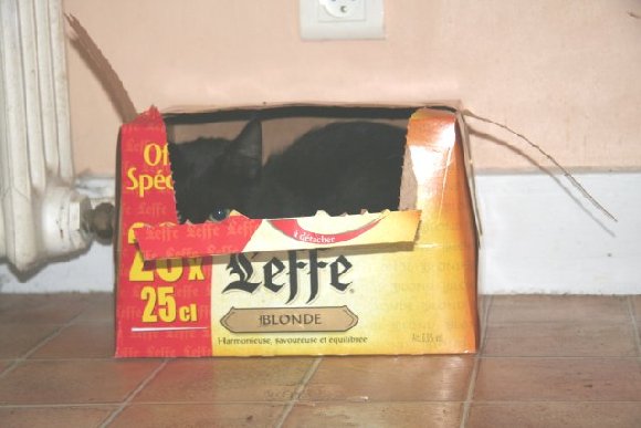 Ovni et Leffe 02 reduit.JPG