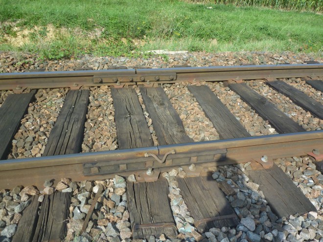 P1080729.JPG