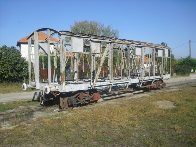 CIMG7600.JPG