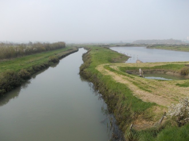 DSCN2519.1.jpg