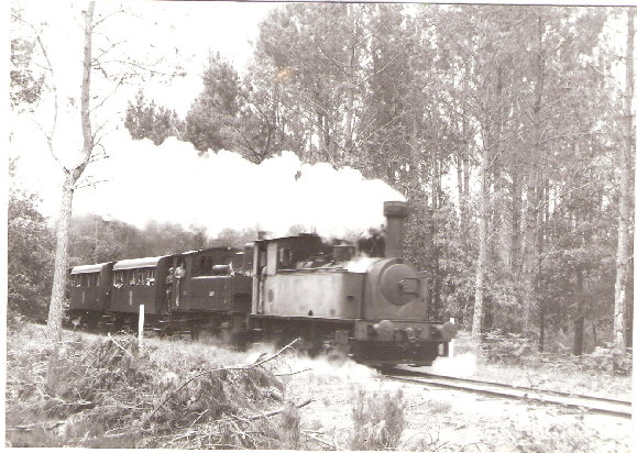 ScannedImage-6.jpg