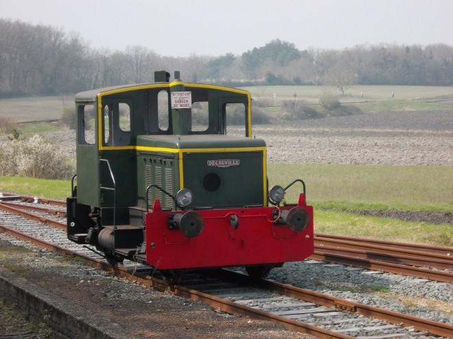 DSCN2535.1.jpg