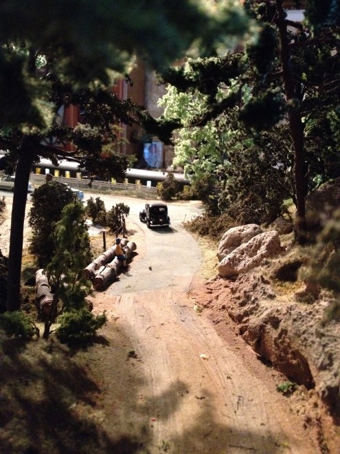 photo foret 039.jpg