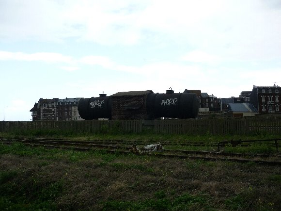 P1000264_800x600.jpg