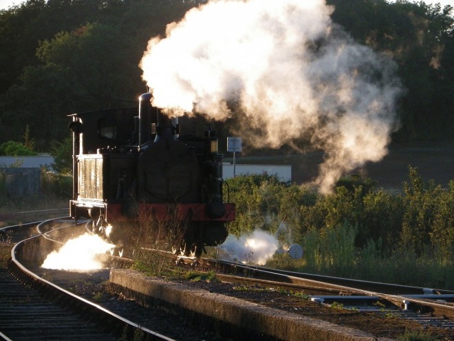 IMGP8307.jpg