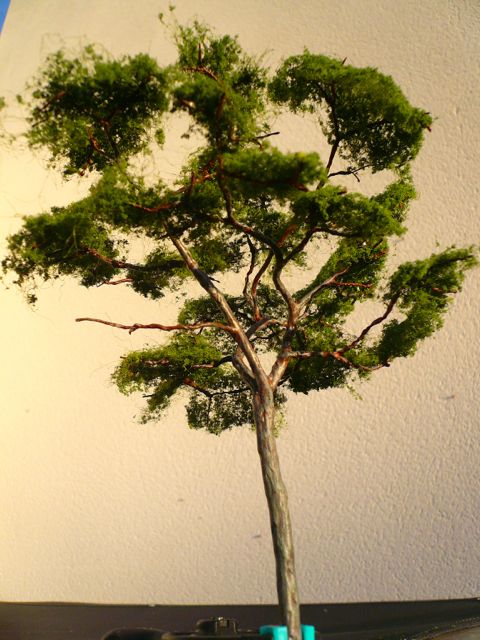 P1090660.jpg