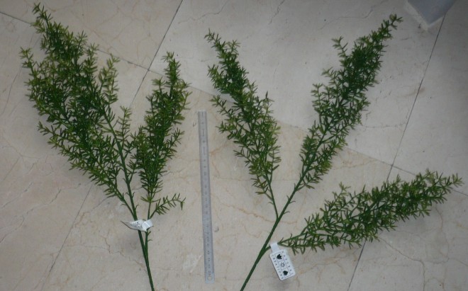 P1020324.JPG
