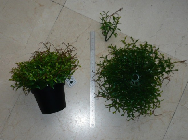 P1020326.JPG