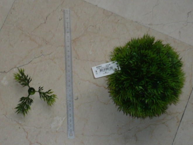 P1020327.JPG