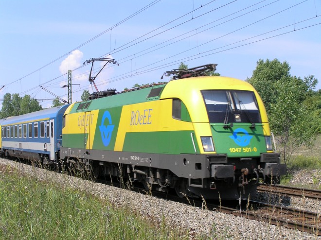 P6100050.JPG