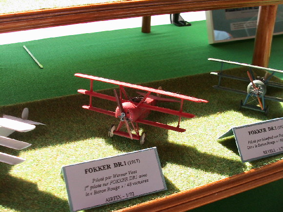 PHOTOARCHIVES 2008 9 024.jpg