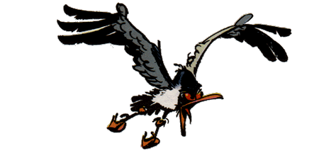 Mouette.gif