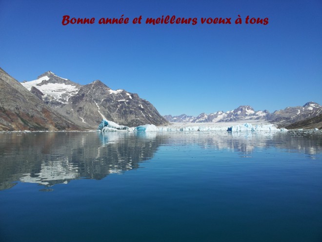 Bonne annee 2014.jpg