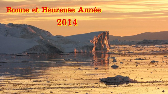 Voeux 2014s.jpg