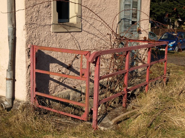 P1255448a.JPG
