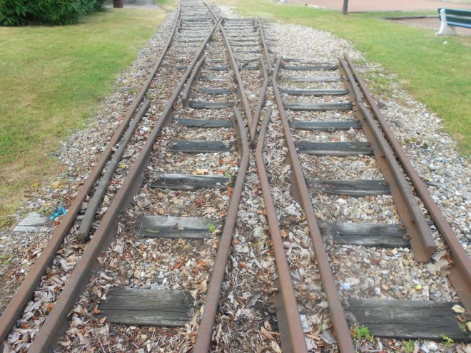 sDSCN1236.jpg