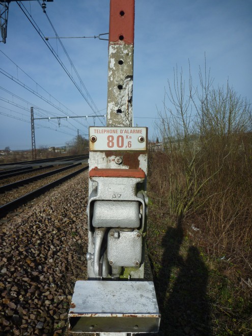 P1090078.JPG