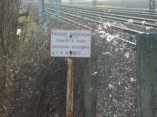 P1090067.JPG
