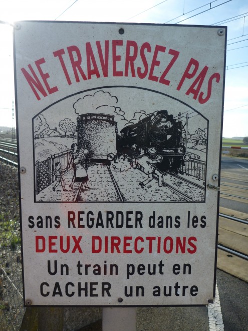 P1090066.JPG