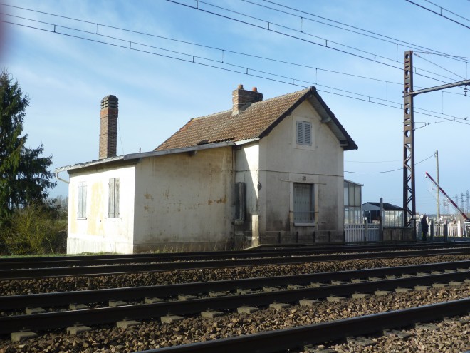 P1090081.JPG