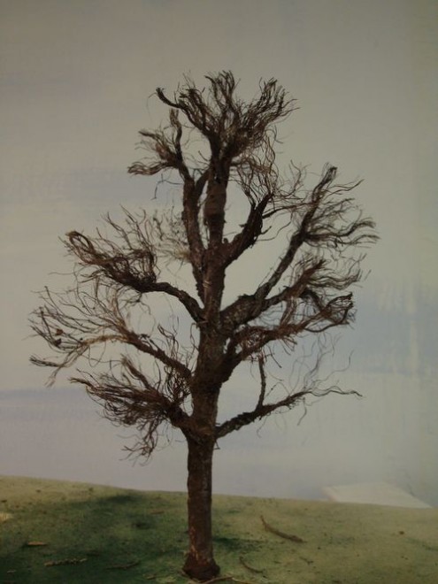 Chêne hiver réduit.jpg