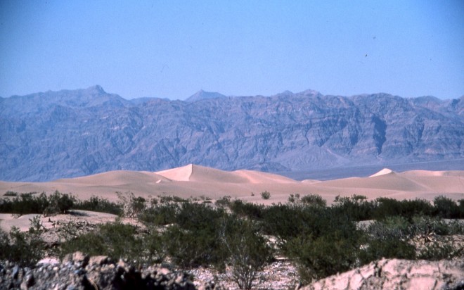 File0169.jpg