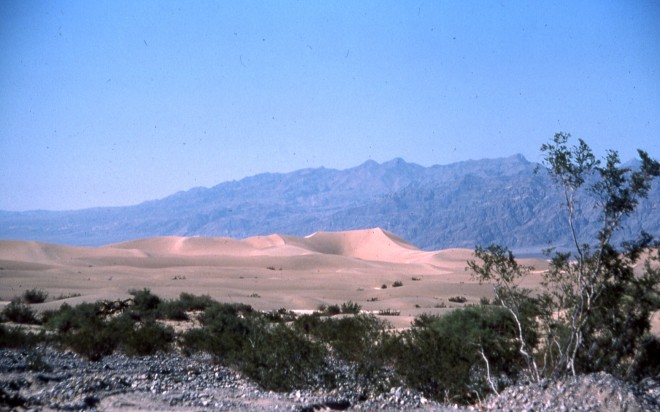 File0170.jpg