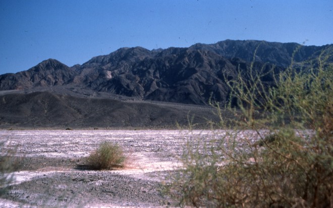 File0171.jpg