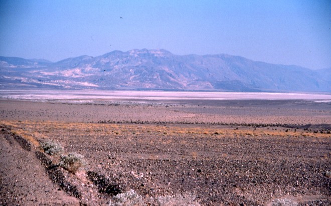 File0172.jpg