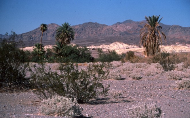 File0174.jpg