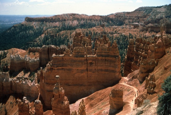 File0065.jpg