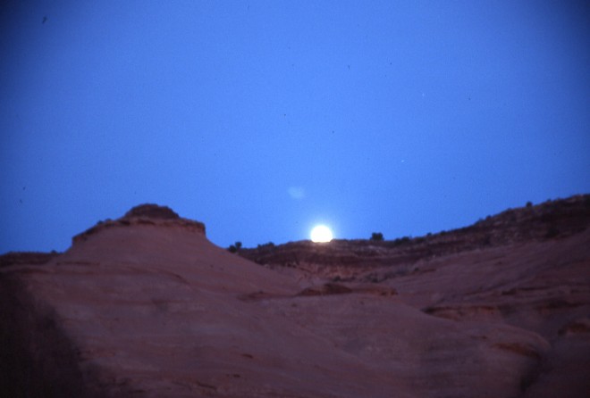 File0105.jpg