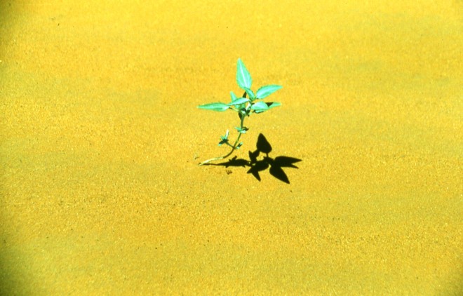 File0131.jpg