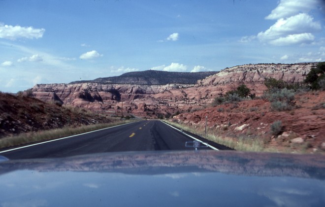 File0196.jpg