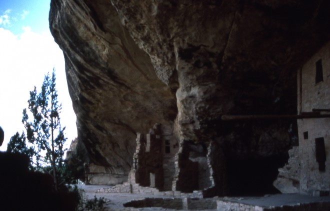 File0115.jpg