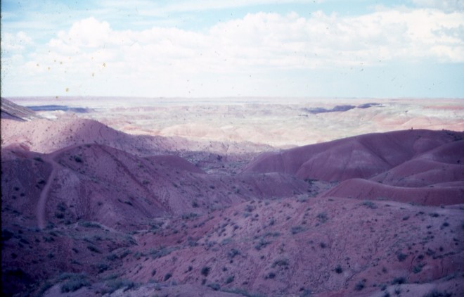 File0166.jpg