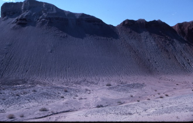 File0170.jpg