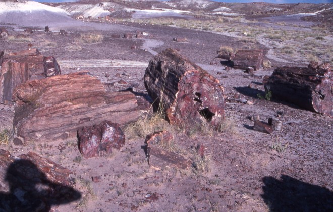 File0175.jpg