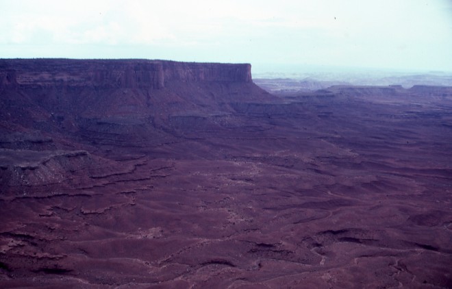 File0217.jpg
