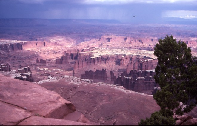 File0222.jpg