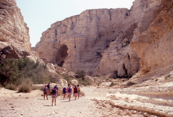File0047.jpg