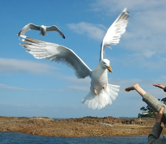 DSC_8588rw2.jpg