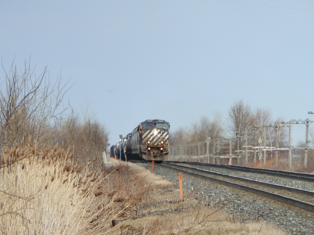 P4160717.jpg