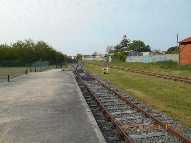 DSCN0227.JPG