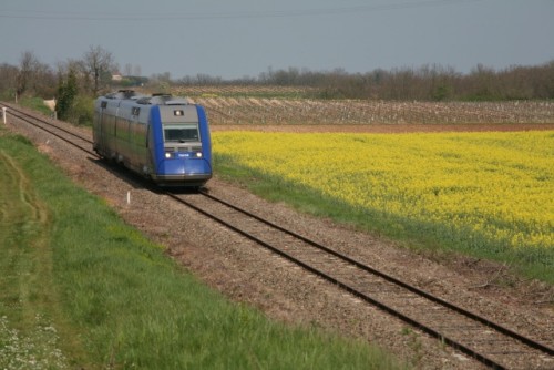 IMG_1204_01_640.jpg