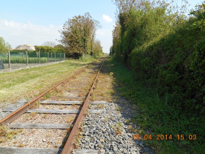 DSCN0256.JPG