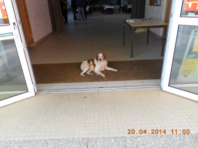 DSCN0280.JPG