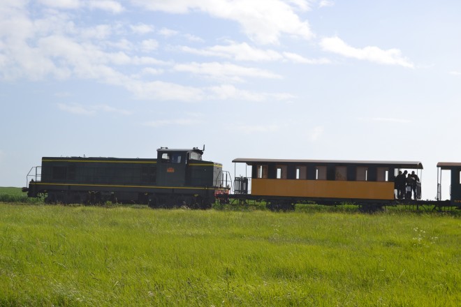 DSC_0409.JPG